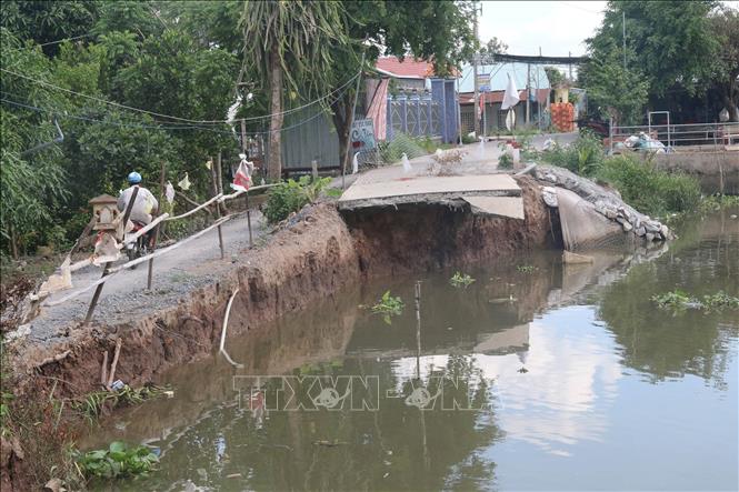 Trong ảnh: Hàng trăm mét đường bê tông tại xã Phú An, huyện Cai Lậy bị nhấn chìm xuống dòng sông. Ảnh: Minh Trí-TTXVN

