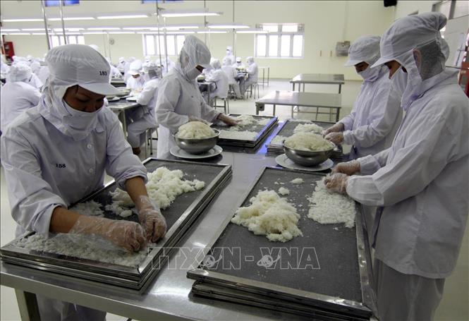 Trong ảnh: Nhà máy Chế biến nguyên liệu Yến sào tại huyện Diên Khánh (Khánh Hòa) chuyên chế biến sản phẩm yến sào cao cấp xuất khẩu sang thị trường Hoa Kỳ. Ảnh: Vũ Sinh - TTXVN