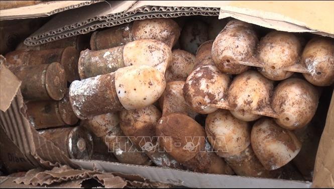 Trong ảnh: Hơn 60 quả đạn cối M79 được người dân phát hiện khi đào móng. Ảnh: Đậu Tất Thành - TTXVN

