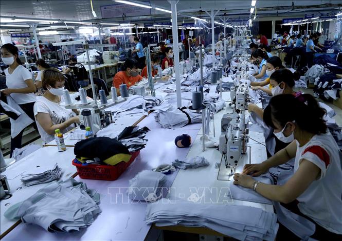Trong ảnh: Dây chuyền may sản phẩm quần áo bảo hộ lao động xuất khẩu sang thị trường Nhật Bản tại Công ty CP may xuất khẩu MTV, cụm công nghiệp Bắc Cẩm Xuyên, thành phố Hà Tĩnh, tỉnh Hà Tĩnh. Ảnh: Vũ Sinh - TTXVN