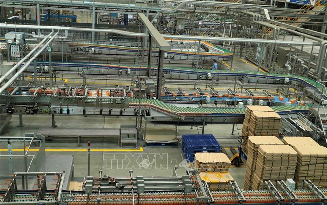 Trong ảnh: Dây chuyền sản xuất nước giải khát tại nhà máy Chi nhánh SPVB Quảng Nam. Ảnh: Thống Nhất - TTXVN
