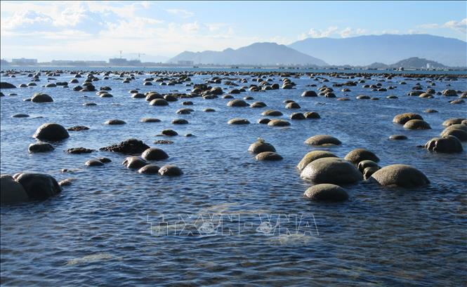 Trong ảnh: Khi thủy triều rút, bãi rạn san hô dần nổi lên trên mặt nước tạo nên cảnh tượng tuyệt đẹp. Ảnh: Nguyễn Thành - TTXVN