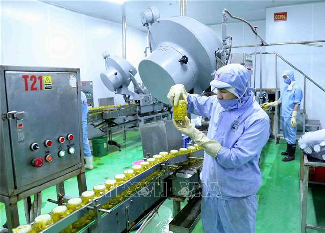 Trong ảnh: Dây chuyền đóng lọ ớt xuất khẩu tại nhà máy chế biến của Công ty CP chế biến thực phẩm xuất khẩu GOC. Ảnh: Vũ Sinh - TTXVN