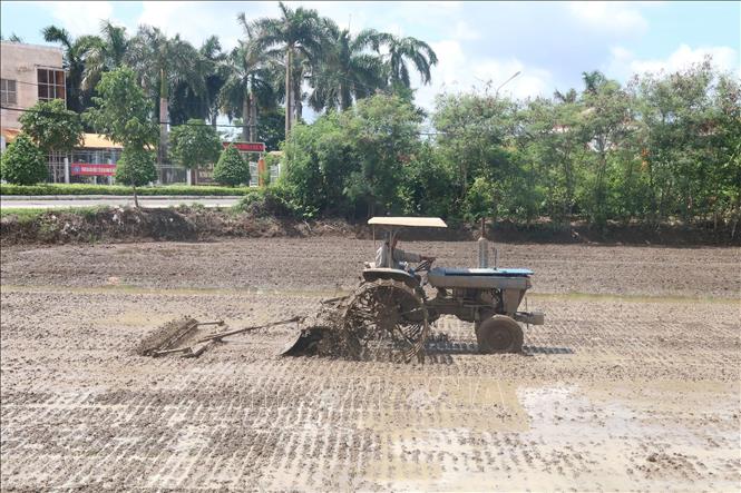 Trong ảnh: Nông dân làm đất bằng cơ giới tại thị trấn Tân Hòa (Gò Công Đông). Ảnh: Minh Trí-TTXVN