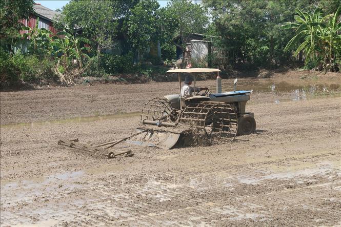 Trong ảnh: Nông dân làm đất bằng cơ giới tại thị trấn Tân Hòa (Gò Công Đông). Ảnh: Minh Trí-TTXVN