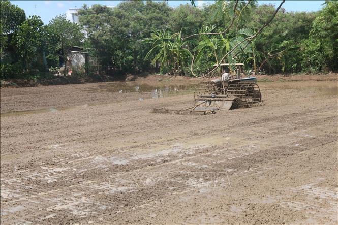 Trong ảnh: Nông dân làm đất bằng cơ giới tại thị trấn Tân Hòa (Gò Công Đông). Ảnh: Minh Trí-TTXVN