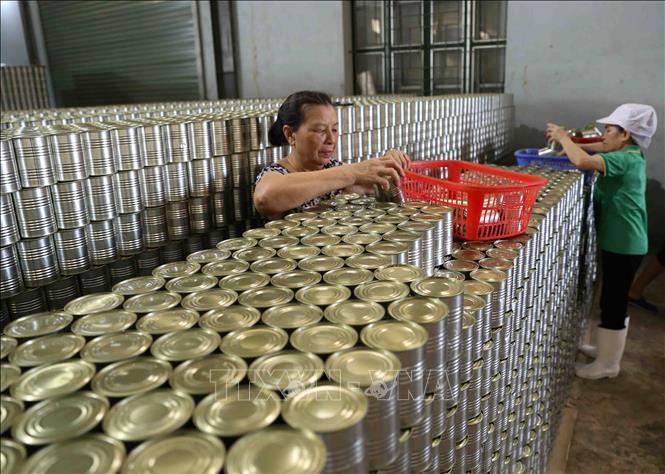 Bac Giang earns 300 million USD from lychee this year ...