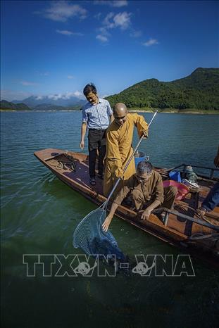 Trong ảnh: Đại đức Thích Trí Thịnh, Phó Trưởng Ban Trị sự Giáo hội Phật giáo tỉnh Hòa Bình cùng các cán bộ Chi cục Thủy sản tỉnh thả cá phóng sinh. Ảnh: Trọng Đạt - TTXVN 