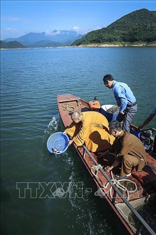 Trong ảnh: Đại đức Thích Trí Thịnh, Phó Trưởng Ban Trị sự Giáo hội Phật giáo tỉnh Hòa Bình và Chi cục trưởng, Chi cục Thủy sản tỉnh Hoàng Văn Son thả cá phóng sinh. Ảnh: Trọng Đạt - TTXVN 