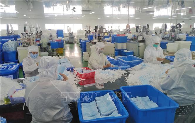Trong ảnh: Công nhân nhà máy SanQi Việt Nam kiểm tra và đóng gói khẩu trang y tế. Ảnh: Minh Hưng - TTXVN