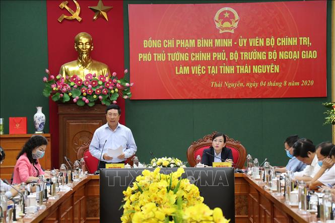 Trong ảnh: Phó Thủ tướng Phạm Bình Minh phát biểu tại buổi làm việc. Ảnh: Thu Hằng - TTXVN
