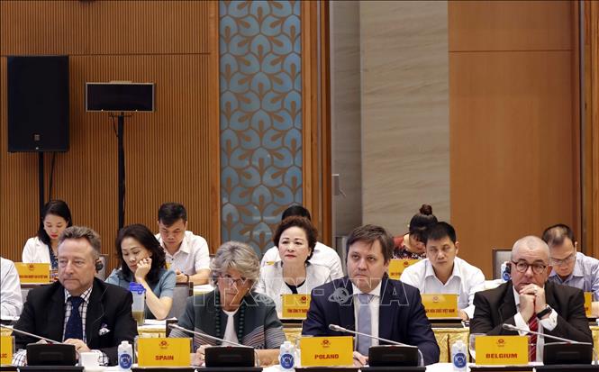 Photo: International delegates attend the video conference. VNA Photo: Thống Nhất