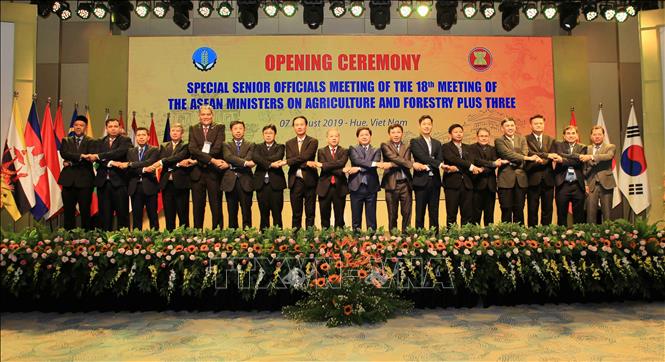 Trong ảnh: Hội nghị đặc biệt các quan chức cấp cao nông lâm nghiệp AMAF ASEAN+3 lần thứ 18 cùng các đối tác chiến lược Trung Quốc, Nhật Bản và Hàn Quốc, ngày 7/8/2019, tại thành phố Huế. Ảnh: Hồ Cầu-TTXVN