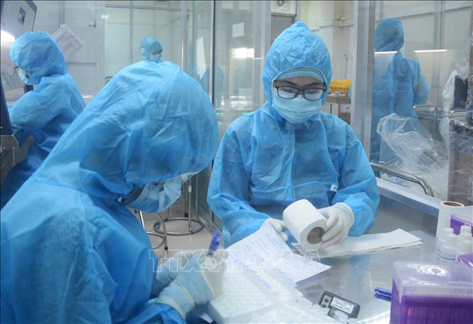 Trong ảnh: Nhân viên phòng xét nghiệm (CDC Đà Nẵng) kiểm tra các mẫu xét nghiệm. Ảnh: Văn Dũng -  TTXVN