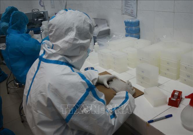Trong ảnh: Nhân viên phòng xét nghiệm (CDC Đà Nẵng) tiến hành xét nghiệm. Ảnh: Văn Dũng - TTXVN