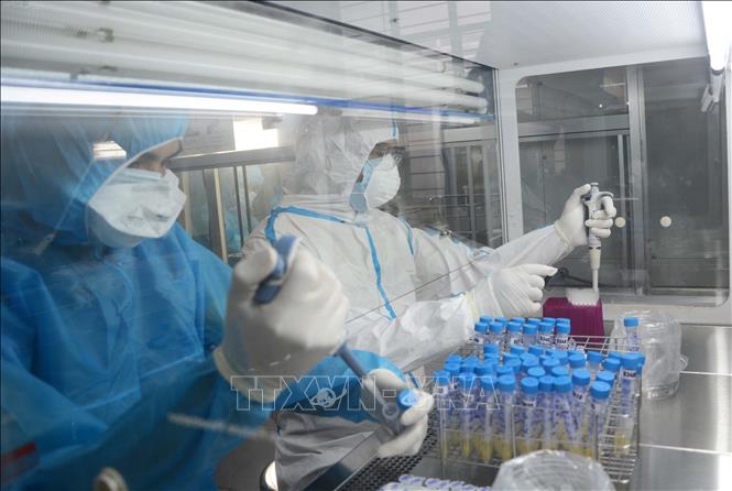 Trong ảnh: Nhân viên phòng xét nghiệm (CDC Đà Nẵng) tiến hành xét nghiệm. Ảnh: Văn Dũng - TTXVN