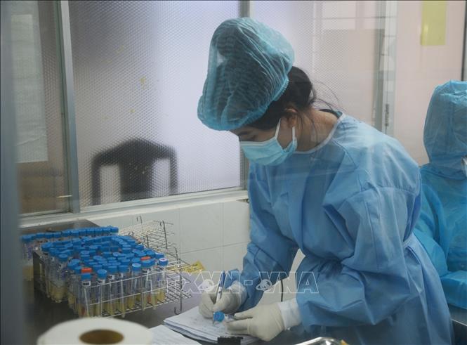 Trong ảnh: Nhân viên phòng xét nghiệm (CDC Đà Nẵng) ghi chép lại tên của từng mẫu xét nghiệm. Ảnh: Văn Dũng - TTXVN