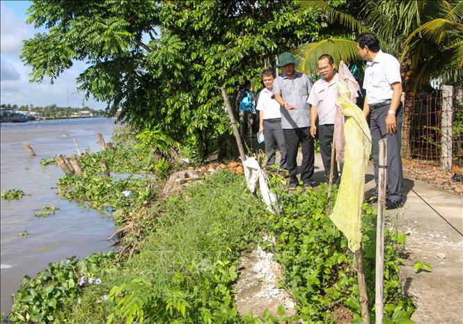 Trong ảnh: Phó Chủ tịch UBND thành phố Cần Thơ Nguyễn Thanh Dũng (đội mũ) kiểm tra điểm có nguy cơ sạt lở cao ở bờ trái sông Ô Môn thuộc phường Thới An. Ảnh: Thanh Liêm - TTXVN
