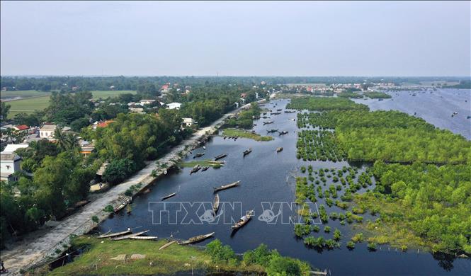 Trong ảnh: Công tác trồng, bảo vệ, quản lý rừng ngập mặn và sử dụng bền vững vùng đất ngập nước ven biển đã cải thiện sinh kế vì lợi ích của dân cư gắn với bảo vệ khôi phục hiệu quả rừng ngập mặn. Ảnh: Hồ Cầu - TTXVN