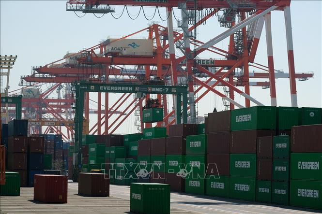 Trong ảnh: Container hàng hóa được bốc dỡ tại cảng Tokyo, Nhật Bản, ngày 18/3/2020. Ảnh: AFP/TTXVN