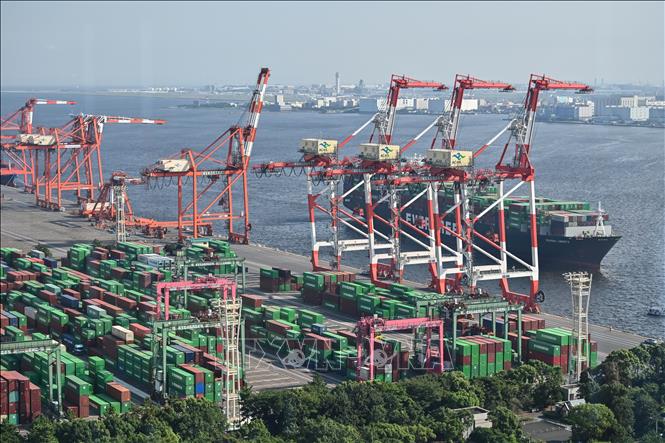 Trong ảnh: Container hàng hóa được bốc dỡ tại cảng quốc tế Tokyo, Nhật Bản, ngày 17/8/2020. Ảnh: AFP/TTXVN