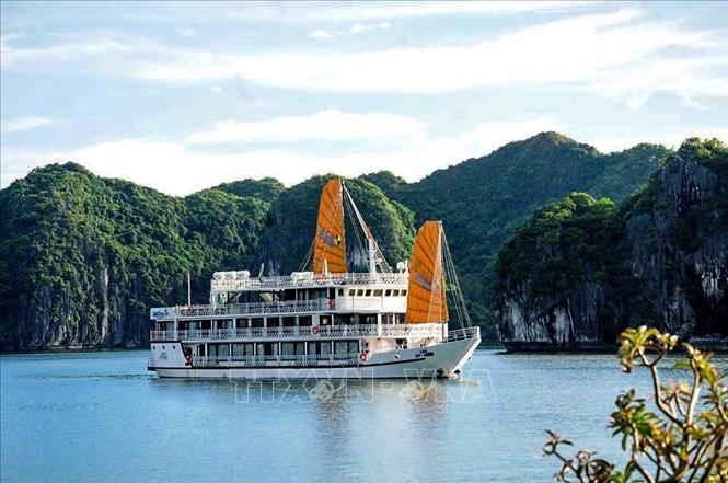 Trong ảnh: Vịnh Lan Hạ là một trong những địa điểm tốt nhất cho khách quốc tế khi đến Hải Phòng. ẢNh: TTXVN