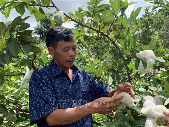 Mô hình quán cafe cây xanh Xu hướng kinh doanh đầy tiềm năng tại các thành  phố lớn