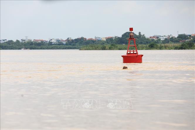 Trong ảnh: Một số người dân vẫn ra tập thể dục và bơi lội dù nước sông Hồng lên cao. Ảnh: Thành Đạt - TTXVN 
