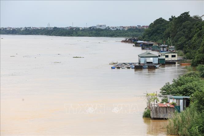 Trong ảnh: Nước sông Hồng lên cao có thể ảnh hưởng đến cuộc sống của những người dân sống ở ven sông. Ảnh: Thành Đạt - TTXVN