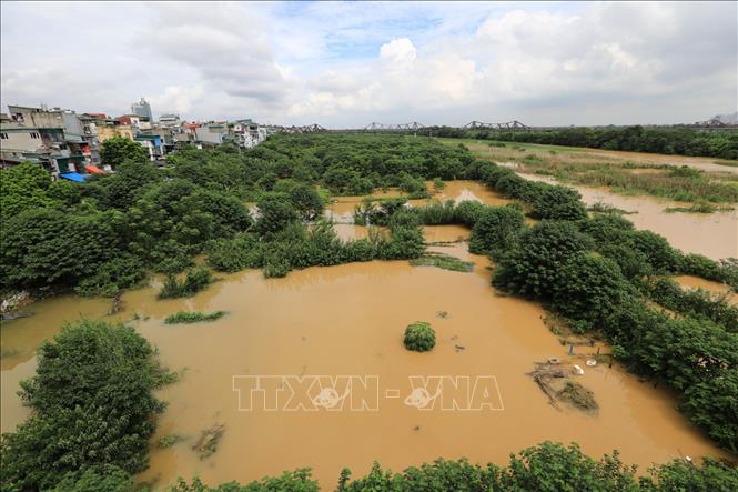 Trong ảnh: Nước sông Hồng lên cao có thể dẫn đến nguy cơ ngập lụt vùng trũng và bãi bồi. Ảnh: Thành Đạt - TTXVN