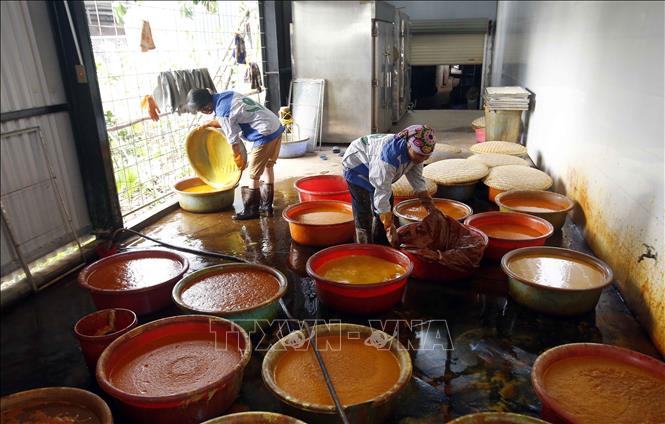 Trong ảnh: Cơ sở sản xuất tinh bột nghệ tại xã Chí Tân thường xuyên tạo việc làm ổn định cho lao động địa phương. Ảnh: Phạm Kiên - TTXVN