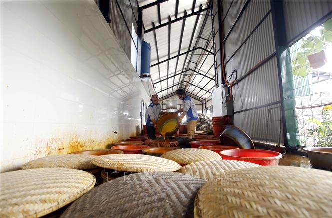 Trong ảnh: Các cơ sở sản xuất tinh bột nghệ tại xã Chí Tân tạo việc làm ổn định cho lao động địa phương. Ảnh: Phạm Kiên - TTXVN