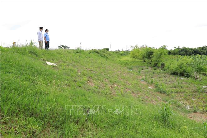 Trong ảnh: Cán bộ Chi cục quản lý đê điều và Phòng chống lụt bão tỉnh Hưng Yên phối hợp với huyện Khoái Châu đi kiểm tra hiện trạng đoạn đê xung yếu thuộc xã Dạ Trạch, huyện Khoái Châu. Ảnh: Vũ Sinh - TTXVN