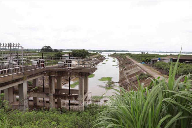 Trong ảnh: Cống qua đê của Trạm bơm tiêu Liên Nghĩa nằm trên đoạn đê xung yếu thuộc xã Liên Nghĩa, huyện Văn Giang. Ảnh: Vũ Sinh - TTXVN