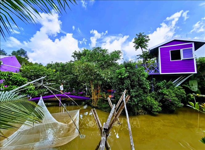 Trong ảnh: Một góc trong khuôn viên “Căn nhà màu tím”. Ảnh: Thanh Liêm - TTXVN