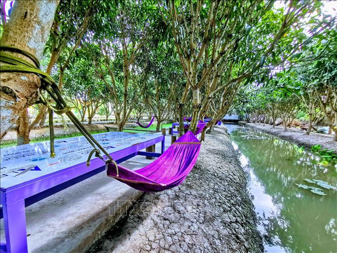 Trong ảnh: Những chiếc võng để du khách nghỉ ngơi cũng được chọn làm từ vật liệu nhuộm màu tím. Ảnh: Thanh Liêm - TTXVN