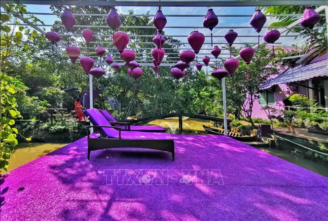 Trong ảnh: Các vật dụng, đồ trang trí đều có màu tím. Ảnh: Thanh Liêm - TTXVN