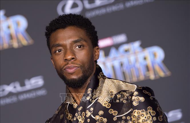 Trong ảnh: Diễn viên Chadwick Boseman tại lễ ra mắt bộ phim 