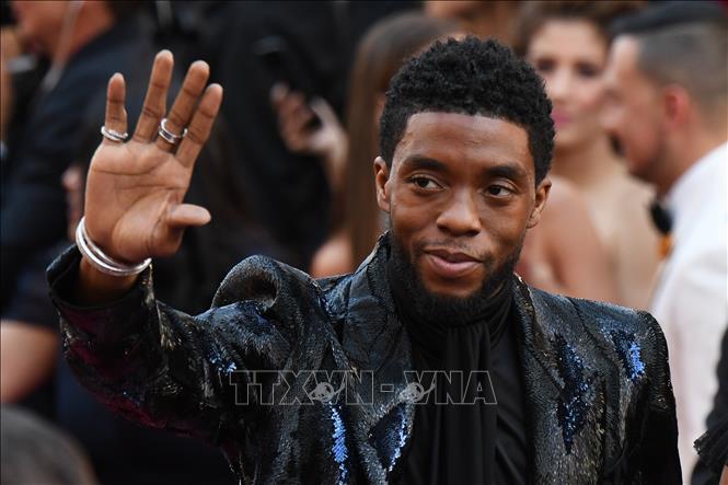 Trong ảnh: Nam diễn viên Chadwick Boseman tại lễ trao giải điện ảnh thường niên lần thứ 91 ở Hollywood, thành phố Los Angeles, Mỹ ngày 24/2/2019. Ảnh: AFP/TTXVN