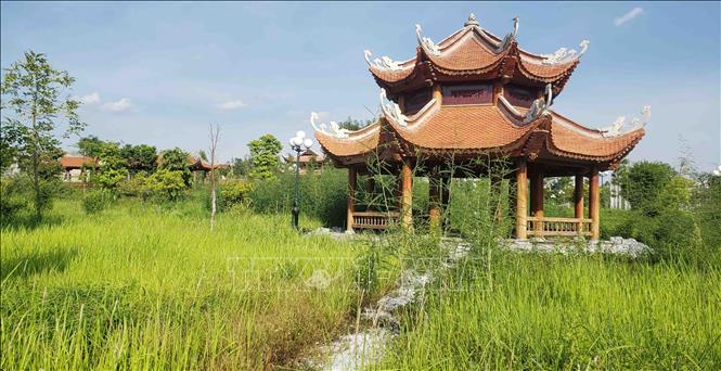 Trong ảnh: Sau 3 năm đưa vào sử dụng khu vực vườn cây trang trí, cảnh quan của khu Văn Miếu cỏ dại mọc um tùm xâm lấn cả lối đi. Ảnh: Hoàng Hùng - TTXVN
