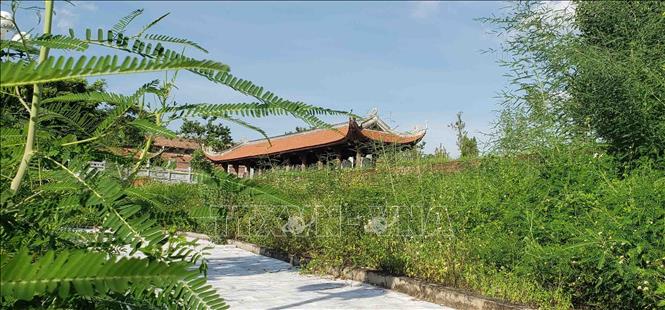 Trong ảnh: Sau 3 năm đưa vào sử dụng khu vực vườn cây trang trí, cảnh quan của khu Văn Miếu cỏ dại mọc um tùm xâm lấn cả lối đi. Ảnh: Hoàng Hùng - TTXVN
