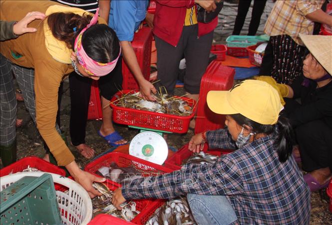 Trong ảnh: Người dân mua bán ở chợ hải sản Cồn Gò. Ảnh: Hoàng Ngà - TTXVN