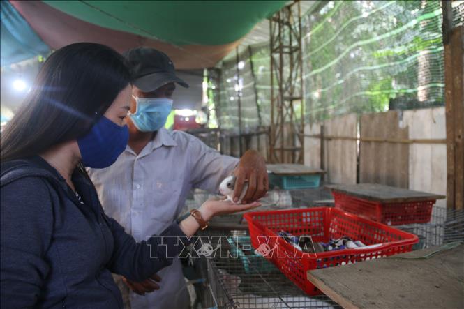 Trong ảnh: Anh Nguyễn Tấn Hưng trao đổi với người dân tới học hỏi kỹ thuật nuôi thỏ. Ảnh: Hoàng Nhị - TTXVN