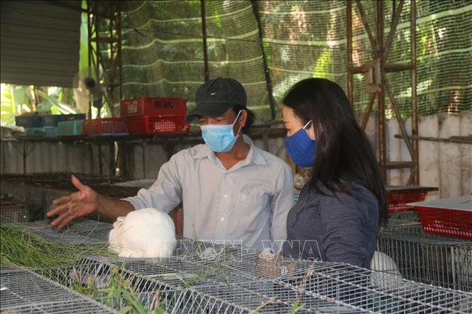 Trong ảnh: Anh Nguyễn Tấn Hưng trao đổi với người dân tới học hỏi kỹ thuật nuôi thỏ. Ảnh: Hoàng Nhị - TTXVN