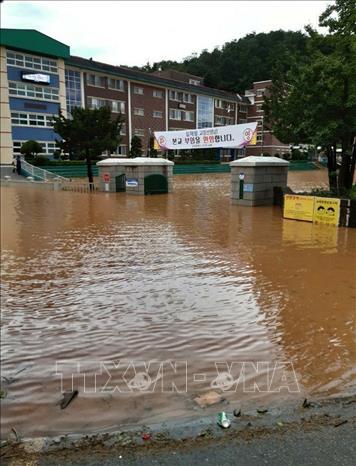 Trong ảnh: Mưa lớn gây ngập lụt khi bão Maysak đổ bộ vào thành phố Samcheok, Hàn Quốc ngày 3/9/2020. Ảnh: Yonhap/TTXVN
