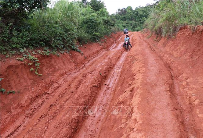 Trong ảnh: Đoạn đường vượt khó của học sinh nghèo làng Đê Kôn xuống núi học bán trú mỗi ngày. Ảnh: Hồng Điệp - TTXVN 