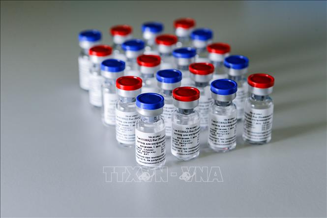 Trong ảnh: Vaccine ngừa COVID-19 do Nga sản xuất. Ảnh: AFP/TTXVN