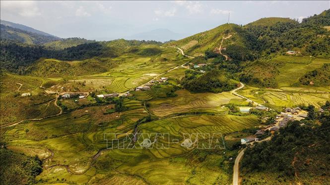 Trong ảnh: Xã Y Tý nằm ở phía tây của huyện Bát Xát, tỉnh Lào Cai, cách thành phố Lào Cai khoảng 100 km, là điểm đến tuyệt đẹp vào mùa lúa chín. Ảnh: Thành Đạt - TTXVN