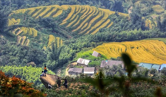 Trong ảnh: Nơi đây được biết đến là nơi lý tưởng để khách du lịch thưởng thức vẻ đẹp tuyệt vời của những thửa ruộng bậc thang và săn mây do nằm trên vùng núi đá có độ cao hơn 2.000m. Ảnh: Thành Đạt - TTXVN 
