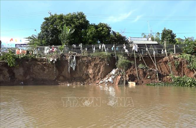 Trong ảnh: Đoạn sạt lở có chiều dài 55m, sâu vào đất liền 3m. Ảnh: TTXVN phát